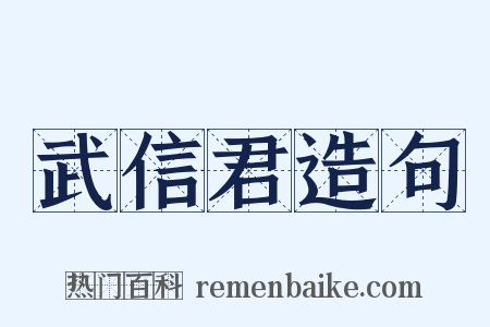 武信君造句是什么意思的图片